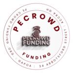 PE Crowdfunding - Raise Funds Using Crowdfunding Options
