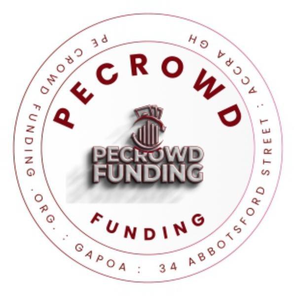 PE Crowdfunding - Raise Funds Using Crowdfunding Options